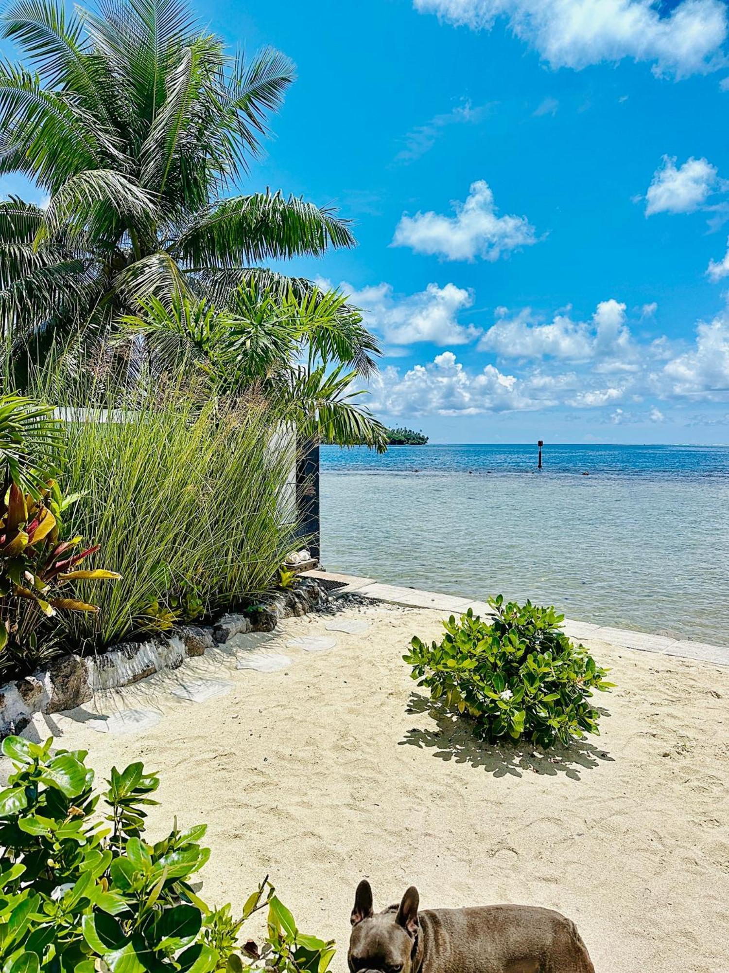 Pension Irivai, Appartement Rava 1 Chambre Bord De Mer Uturoa Exteriör bild